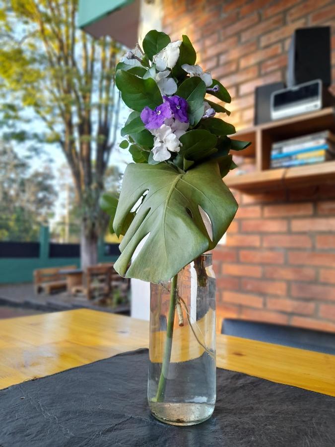 Eco Hostel Iguazu ปูแอร์โตอีกวาซู ภายนอก รูปภาพ